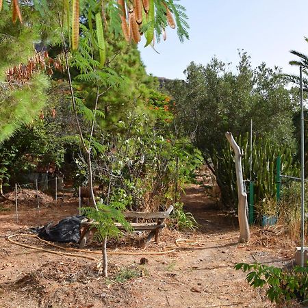 La Casa De Los Pinos Temisas Dış mekan fotoğraf