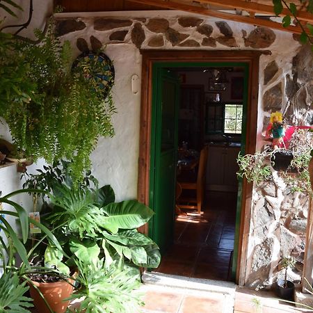 La Casa De Los Pinos Temisas Dış mekan fotoğraf