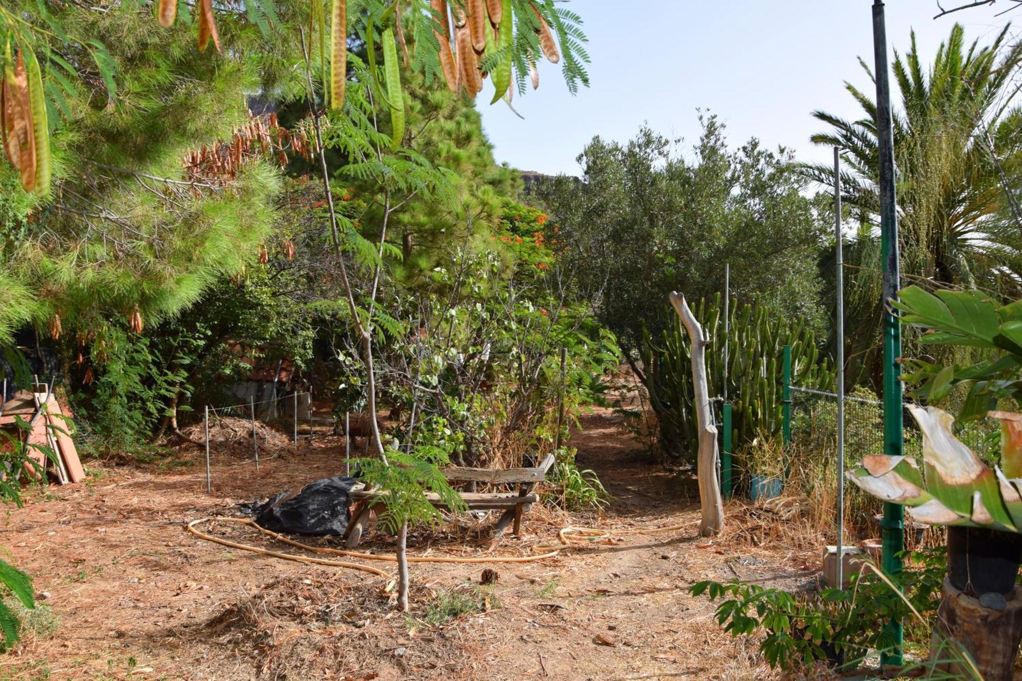 La Casa De Los Pinos Temisas Dış mekan fotoğraf