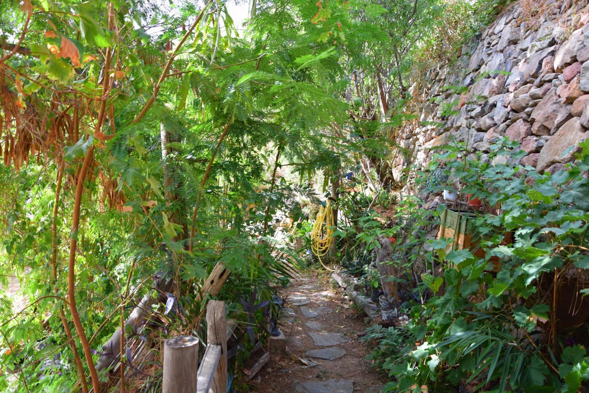 La Casa De Los Pinos Temisas Dış mekan fotoğraf