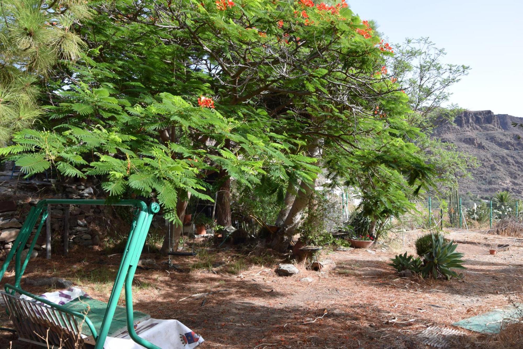 La Casa De Los Pinos Temisas Dış mekan fotoğraf